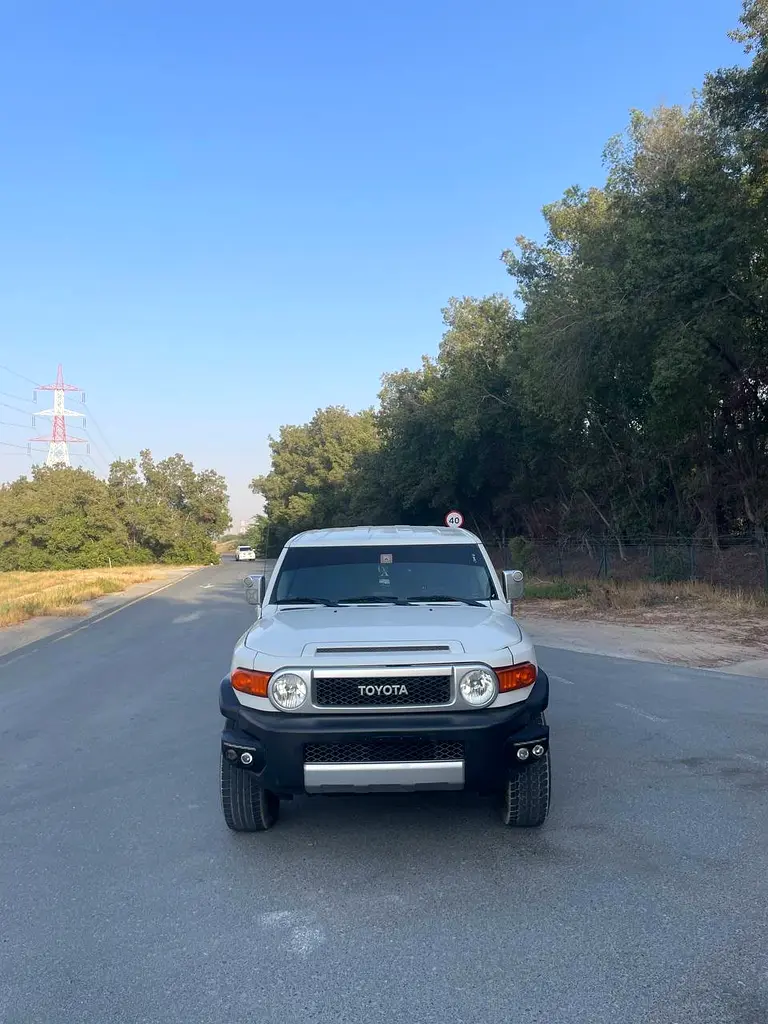 Toyota FJ Cruiser 2008 — photo 1 of 13