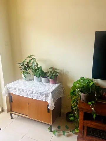 Wooden Strong cabinet