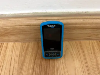 Izzy Swami 6000i golf gps