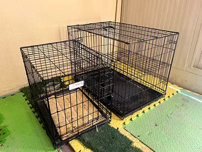 Birds Pets Cages