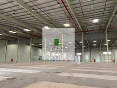 61,000 SQ. FT WAREHOUSE FOR RENT IN Umm Al Thuoob