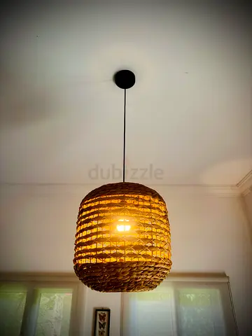 Homecentre Natural water hyacinth pendant Light - Handwoven Rattan