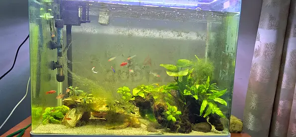 Aquarium set with fishes
