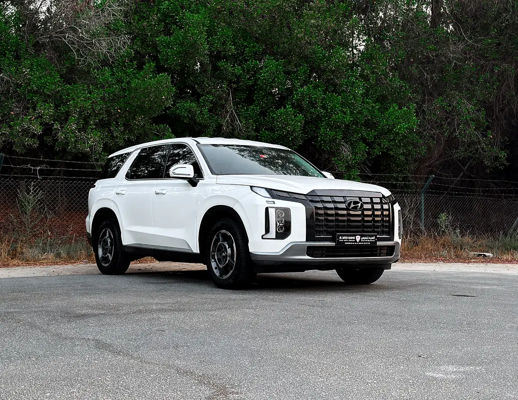 Hyundai Palisade 2023 — photo 1 of 20