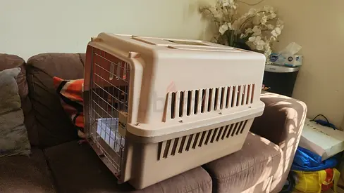 Cats and dogs carriers for air travel light weight