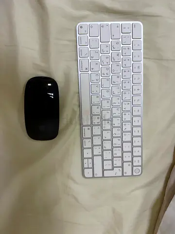 Magic Mouse and Magic Keyboard for sale (apple)