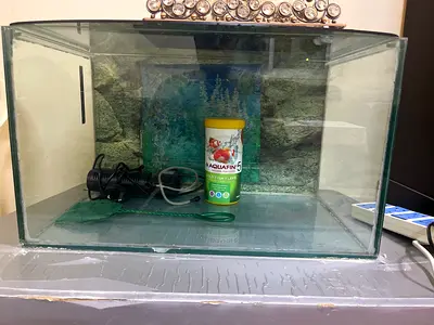 Glass fish tank with filter and fish food