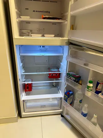 Samsung Fridge RT50CG6404