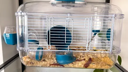 Hamster cage for sale