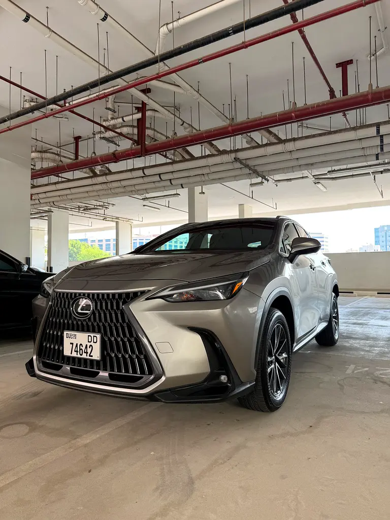 Lexus NX-Series 2024 — photo 1 of 12
