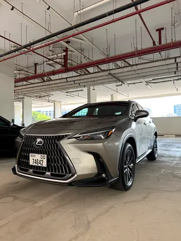Lexus NX 250 2024 Canadian Specs