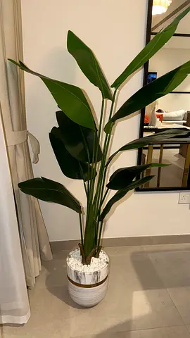 Tall artificial bird of paradise plant in decorative pot