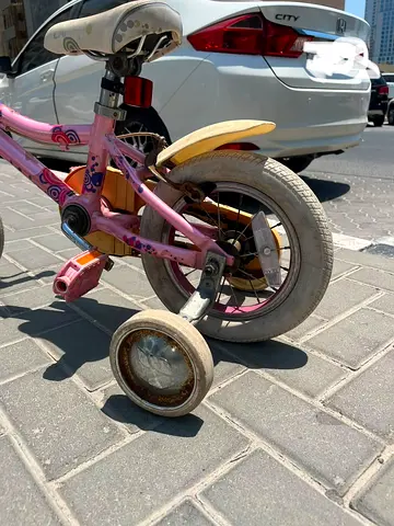 Girls Kids Pink Training Bicycle with Removable Training Wheels