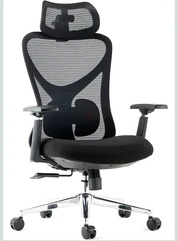 Ergonomic Mesh Office Chair with Headrest — Adjustable Lumbar Support 0506768890