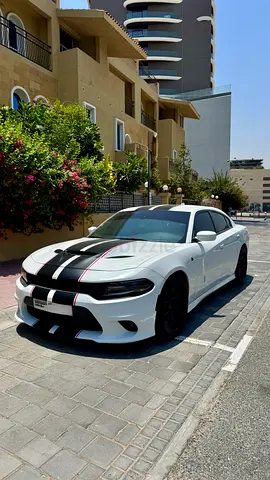 2020 Dodge Charger R/T Scat Pack | 6.4L V8 HEMI | American Specs