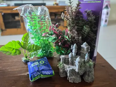 Aquarium plants