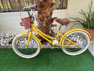 Yellow 20-inch Kids/Teen Cruiser Bike with Basket