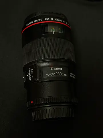 Canon EF 100mm f/2.8L Macro IS USM (excellent)
