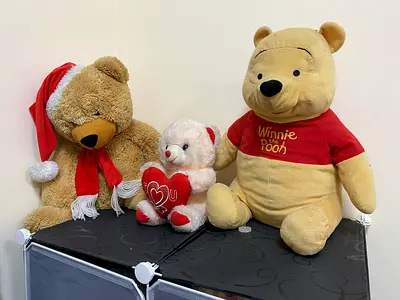 Winnie the Pooh and Teddy Bear Soft Toy Collection