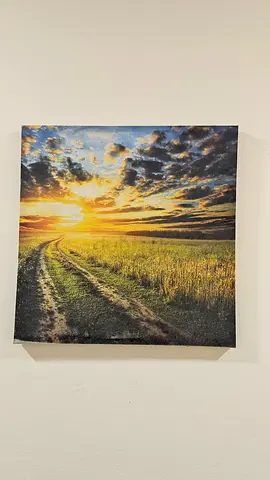 2 Canvas Wall Art - (Ready to Hang)