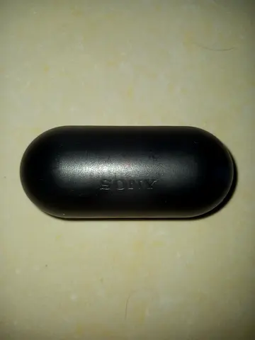 SONY WF-C500 Earbuds