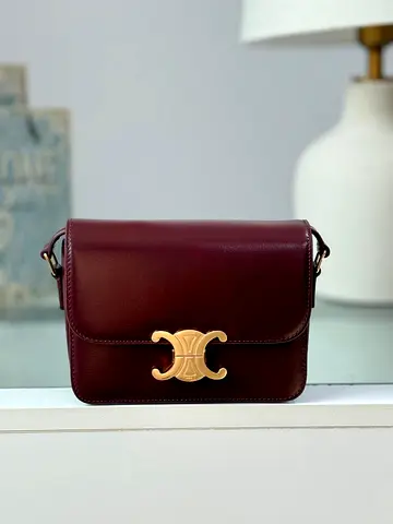 Celine Purse for Women