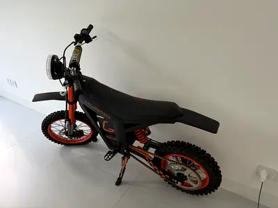 Electric bike