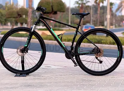 Marlin mountain bike/ bicycle xl frame