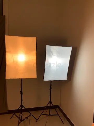 Pair of softbox studio lights with stands - good working condition