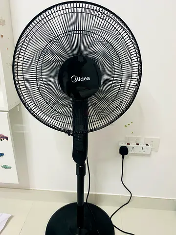 Fans