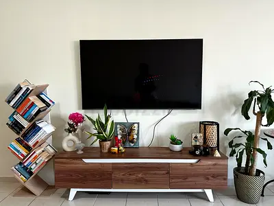 Modern wooden TV cabinet with storage - walnut finish