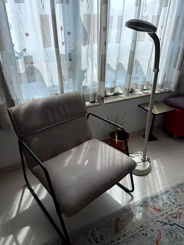 Comfortable Grey Accent Lounge Chair with Black Frame