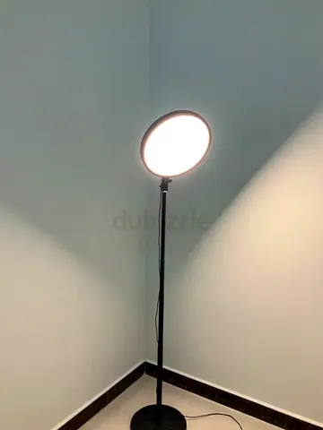 13-inch LED Ring Light with Stand, Remote and Phone Holder