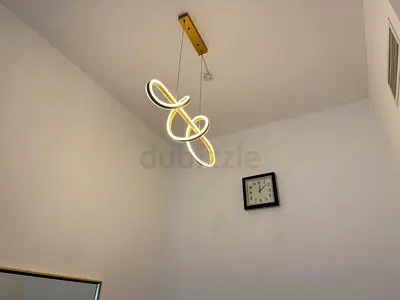 Modern LED Loop Pendant Light - Elegant Finish