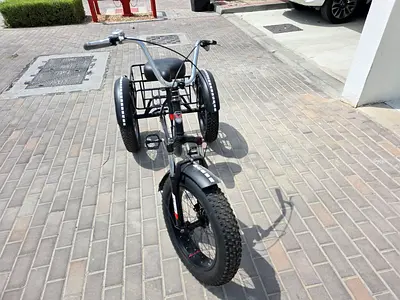 Adult 3-Wheel Fat Tire Tricycle with Rear Cargo Basket