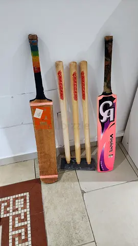 Two cricket bats (Vision and Gray-Nicolls style) with 3 wooden stumps - never used