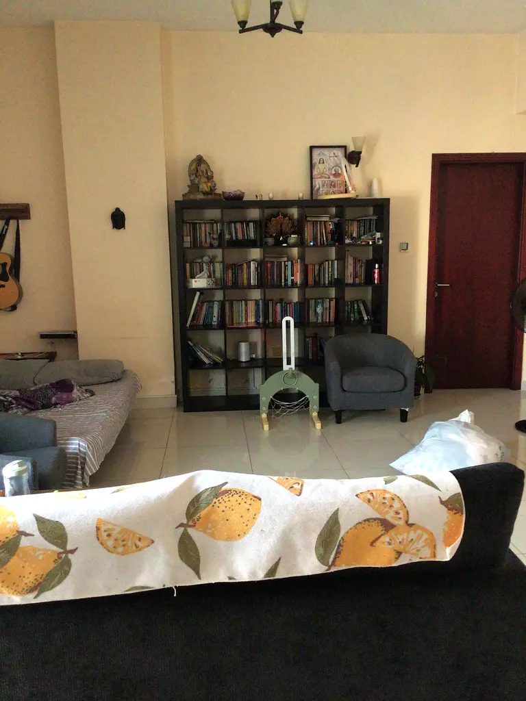 DPV_View_Image_2
