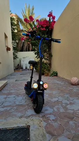 Scoter