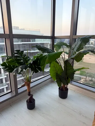 Artificial plants