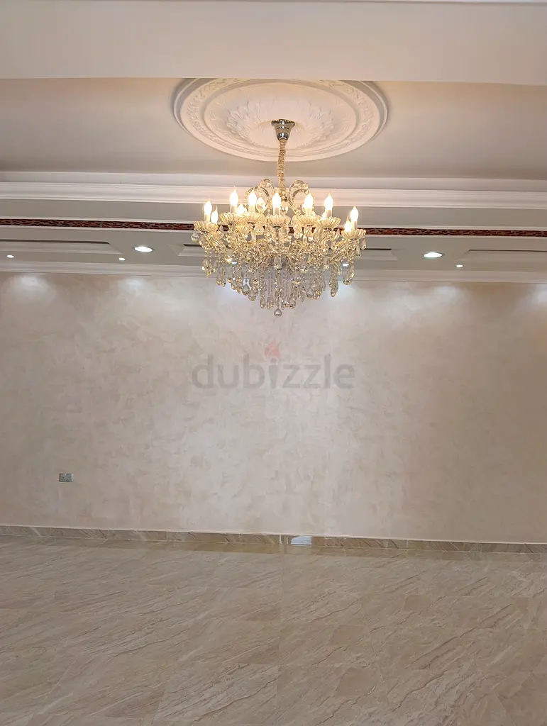 DPV_View_Image_7