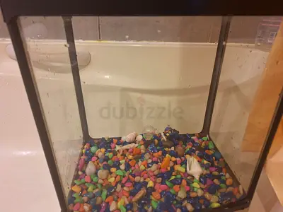 Fish tank/ aquarium