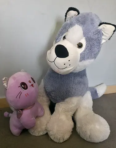 Teddy bear, dog and cat big size