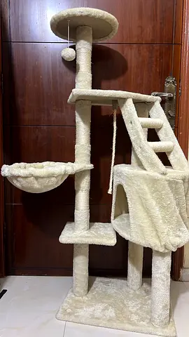 Cat house for sale