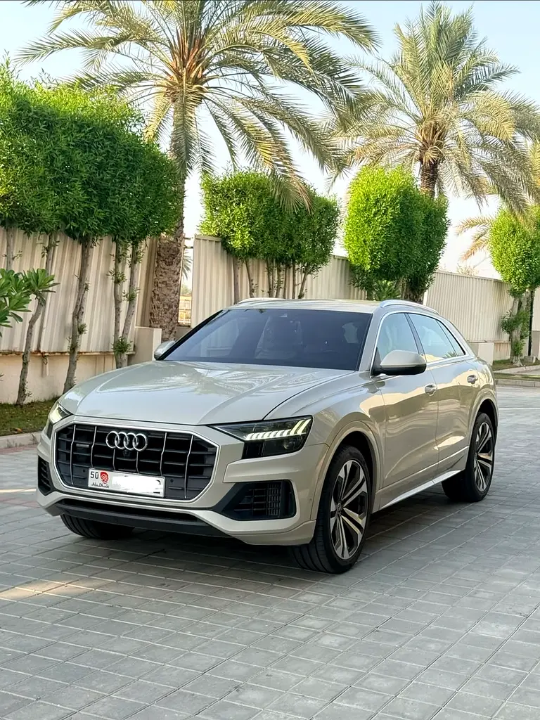 Audi Q8 2022 — photo 1 of 11