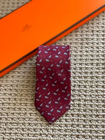 Hermes Neck Tie for Men