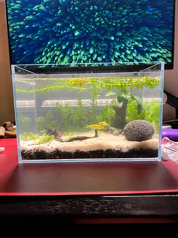 Complete Aquarium Tank Set-up