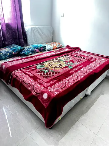 Two single size cot with mattress
