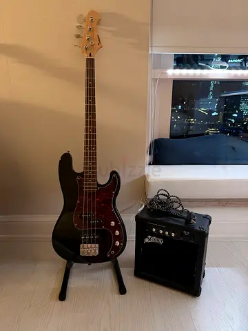 Steiner TB-15 Bass Combo Amplifier - Compact Practice Amp