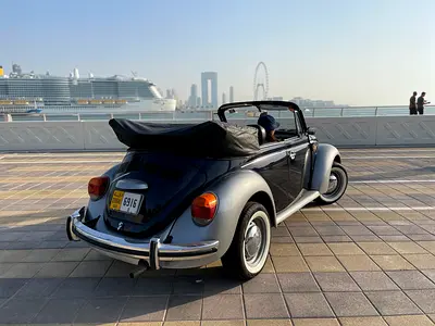 صورة 3 لـ 1975 Volkswagen BEETLE