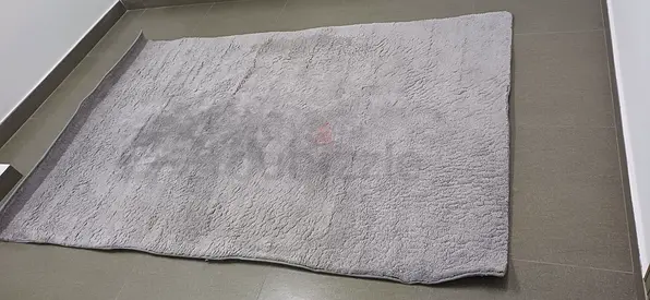 Light grey plush area rug - 150x240 cm (approx), good condition